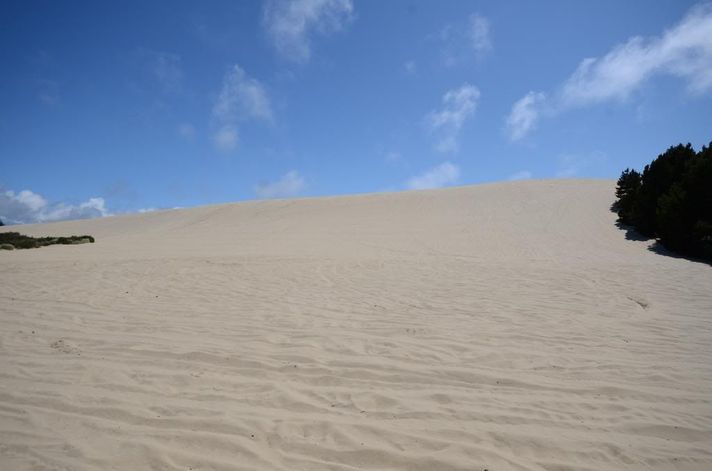 DSC_1598.jpg