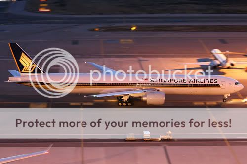 IMG_7865_f.jpg
