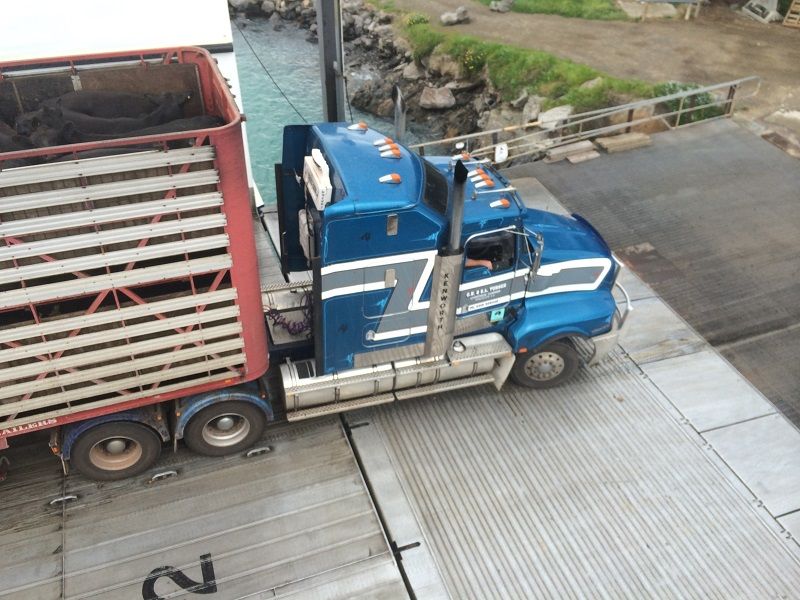 582_zps48bbc525.jpg