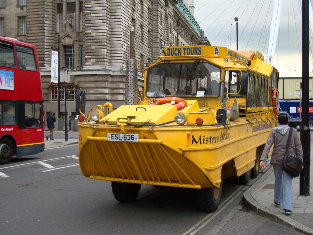 DSC02715.jpg
