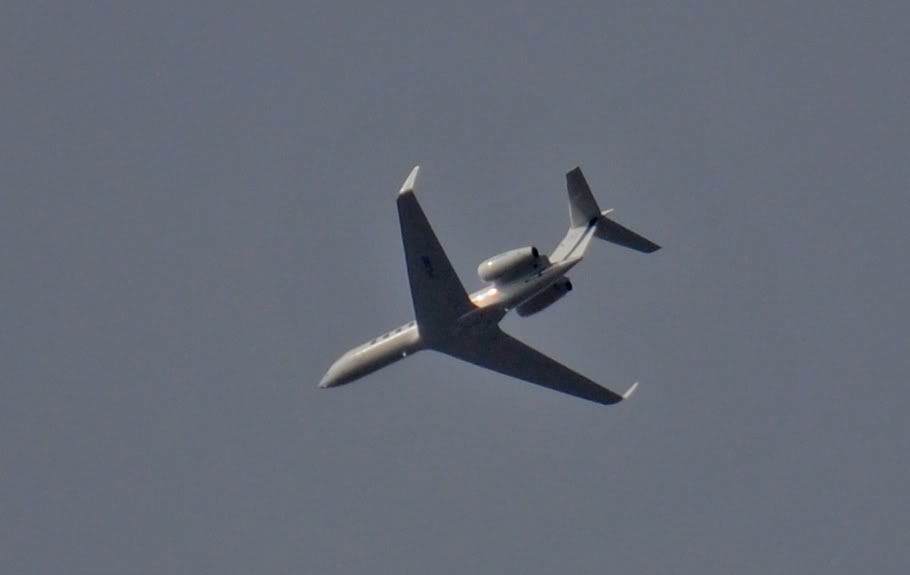 DSC_0147-1.jpg