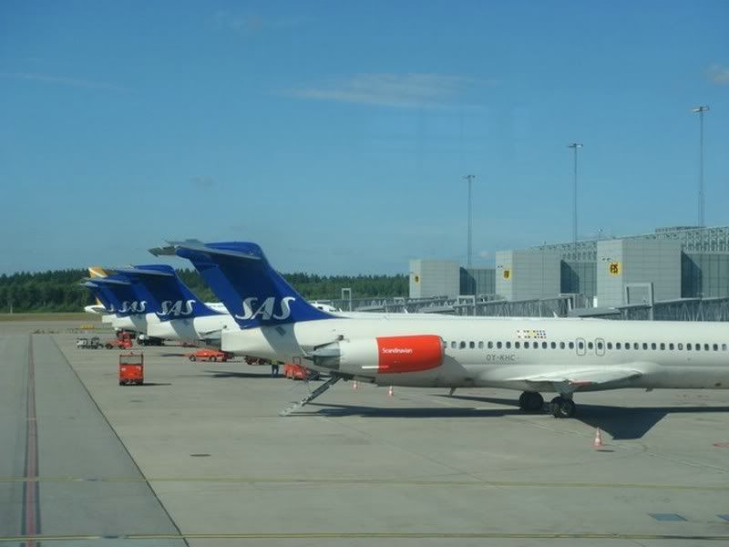 DSC01379.jpg