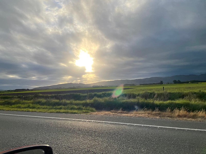 54314840699_03d2707513_c.jpg