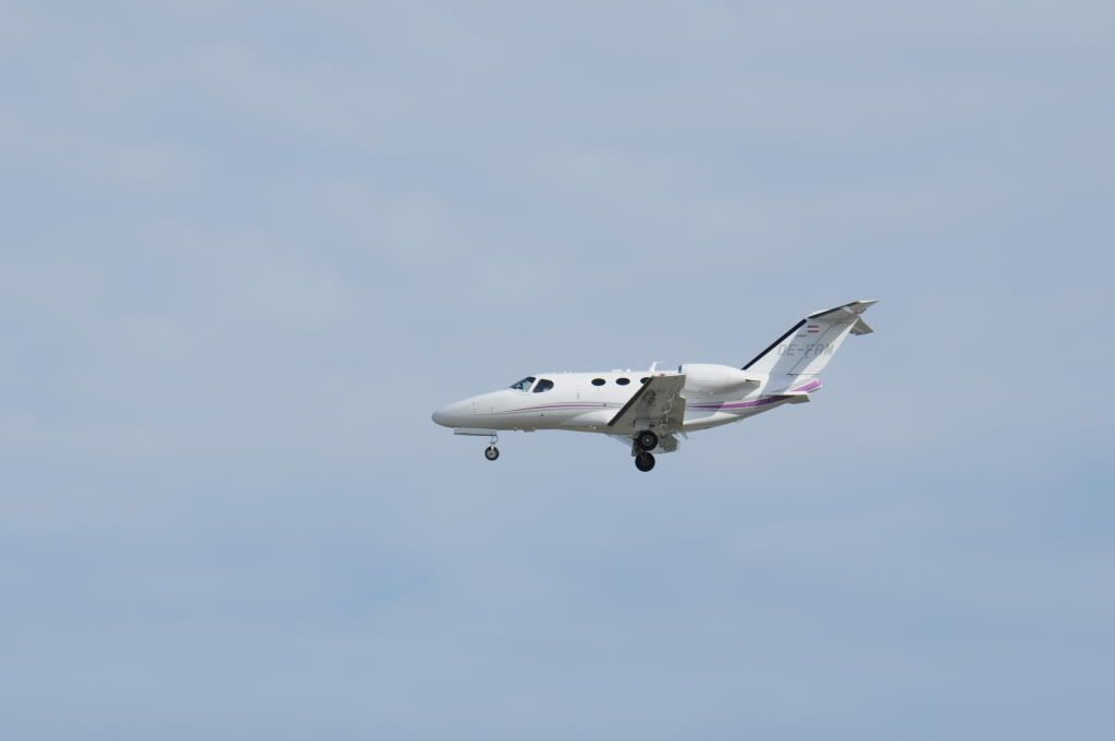 DSC_0105.jpg