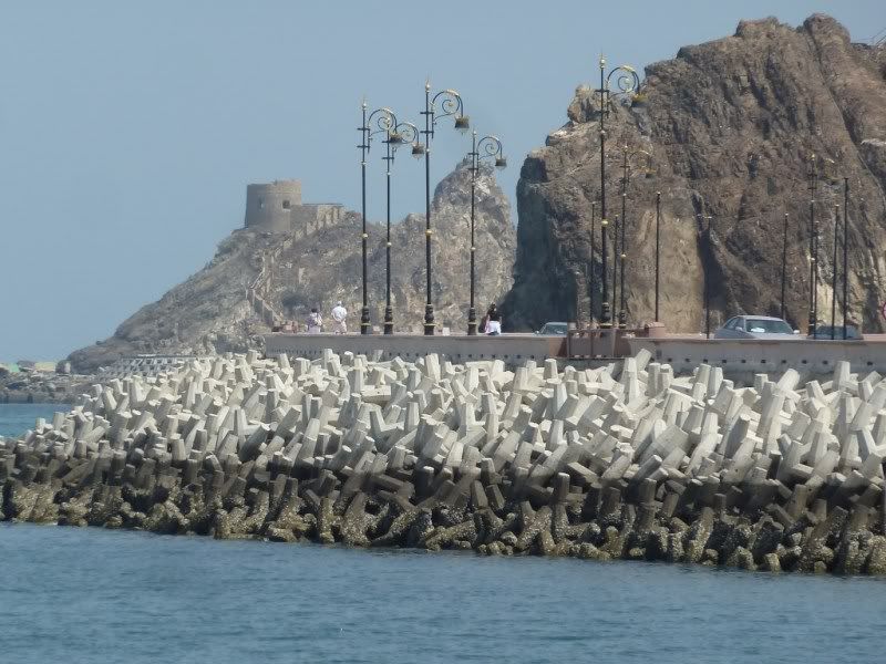 P1110385.jpg