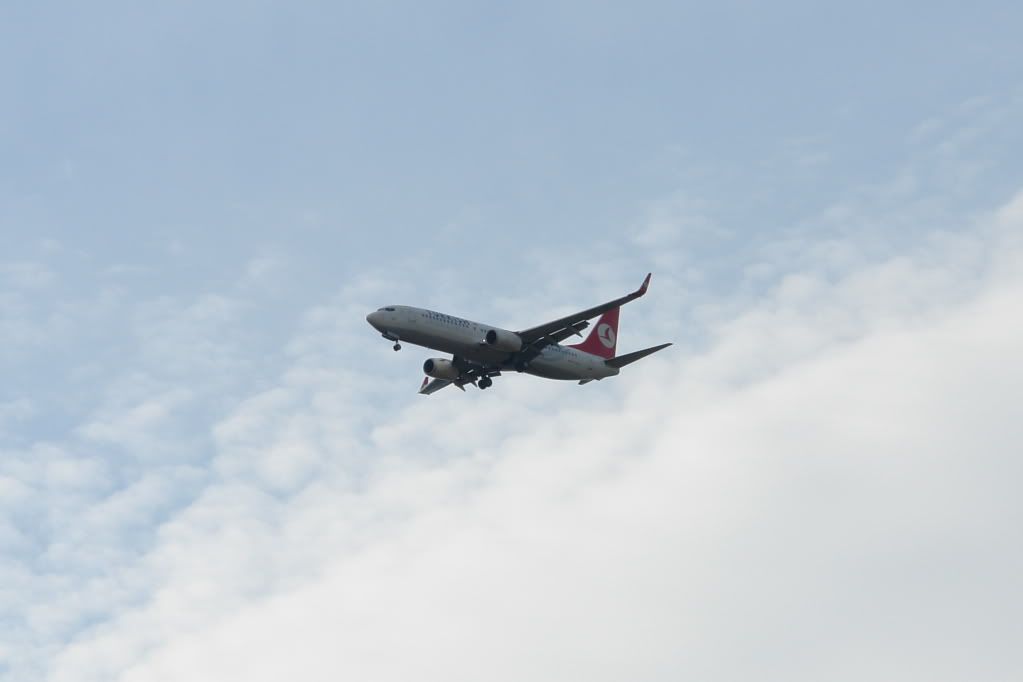DSC02019.jpg