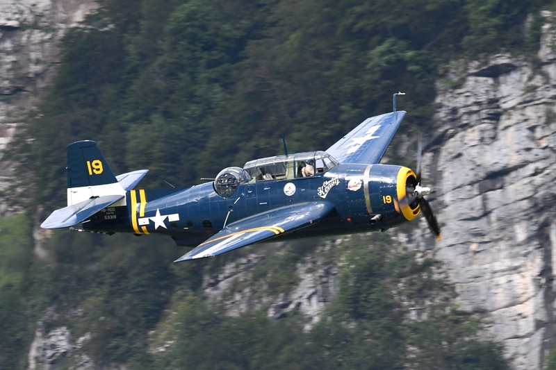 48654234557_7f118ccb55_b.jpg