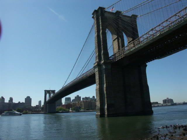 PICT0086-1.jpg