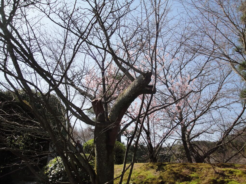 DSC01521.jpg