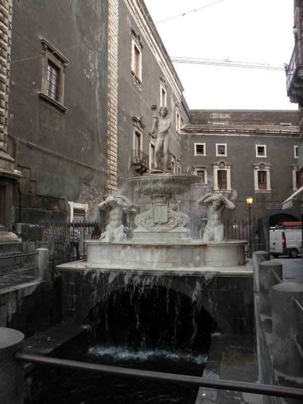 DSCN8269.jpg
