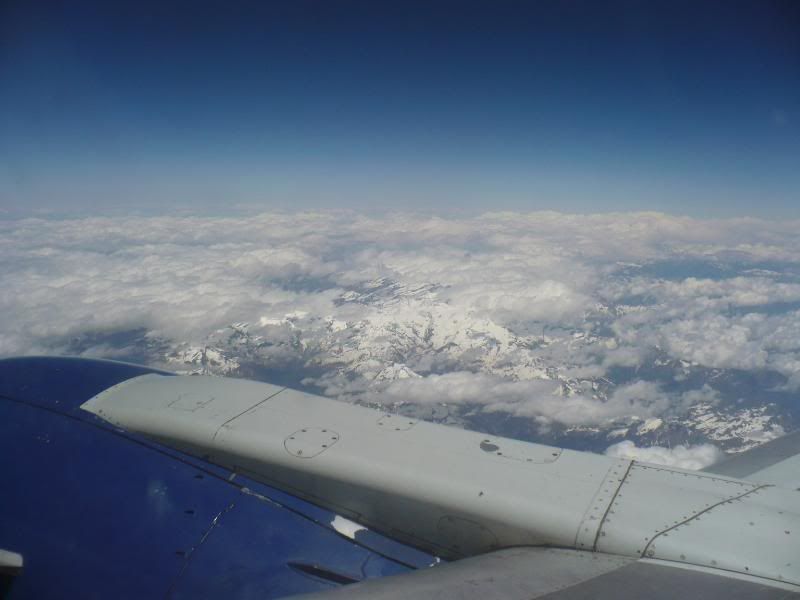 P1010688.jpg