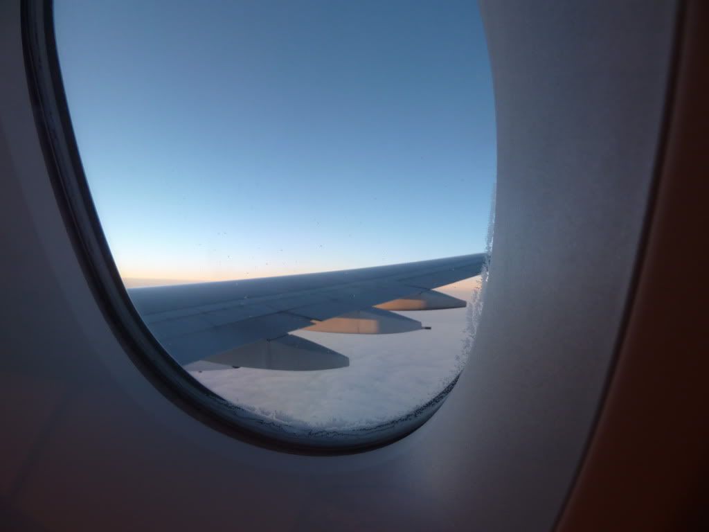 P1000819.jpg