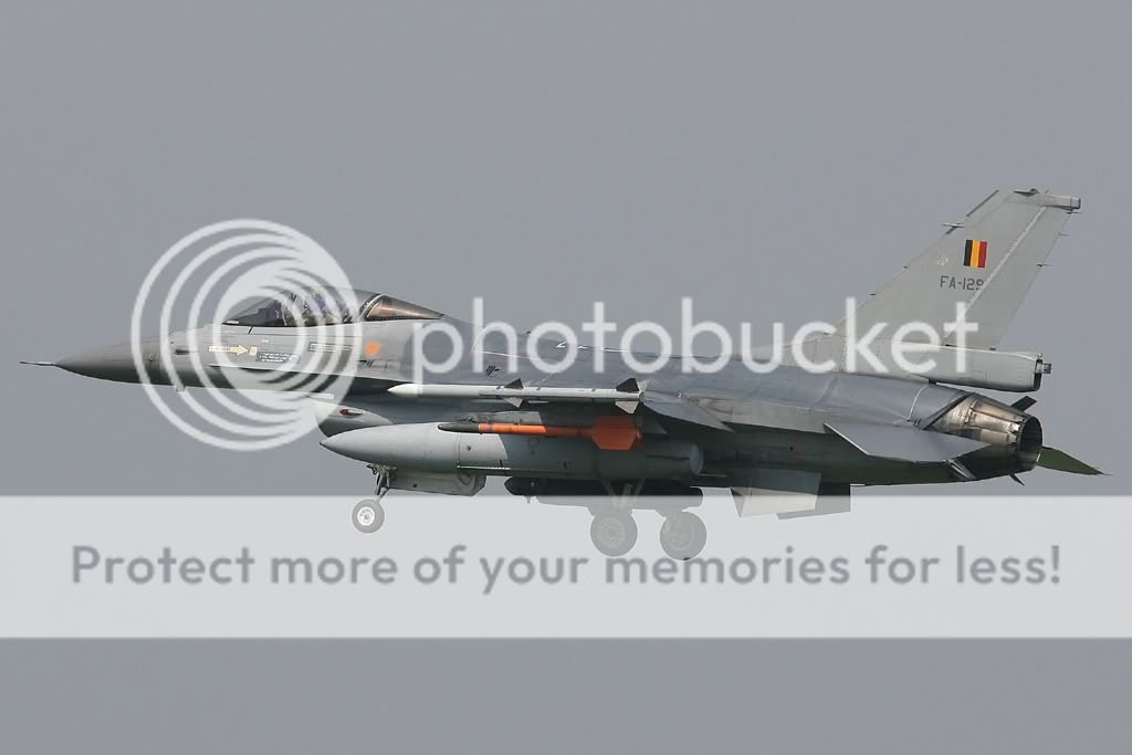 IMG_7443.jpg
