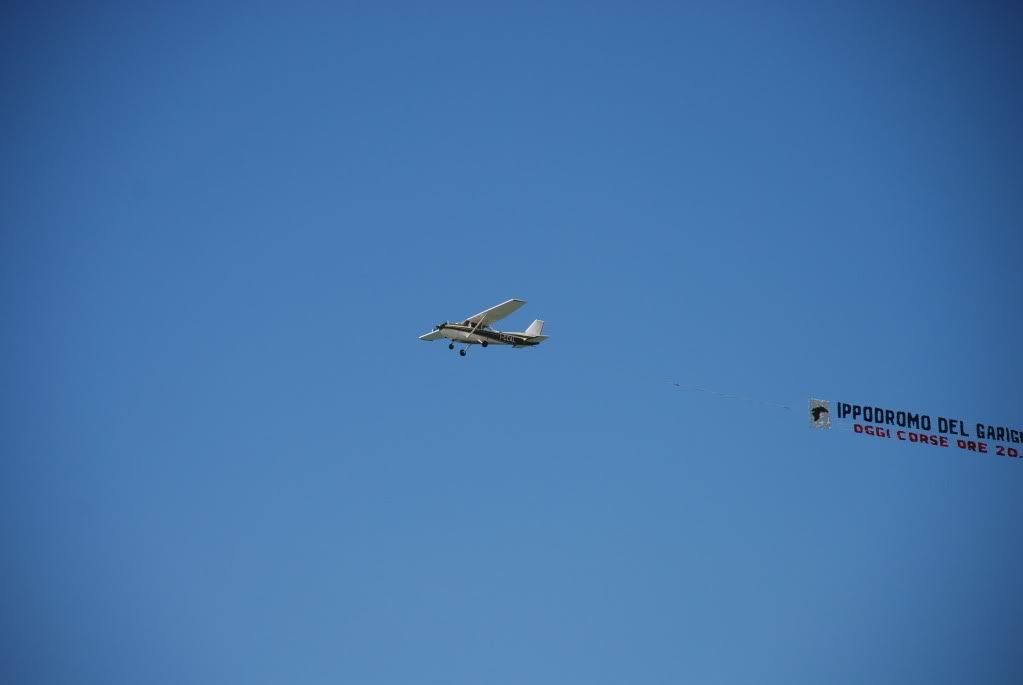 DSC_2882.jpg