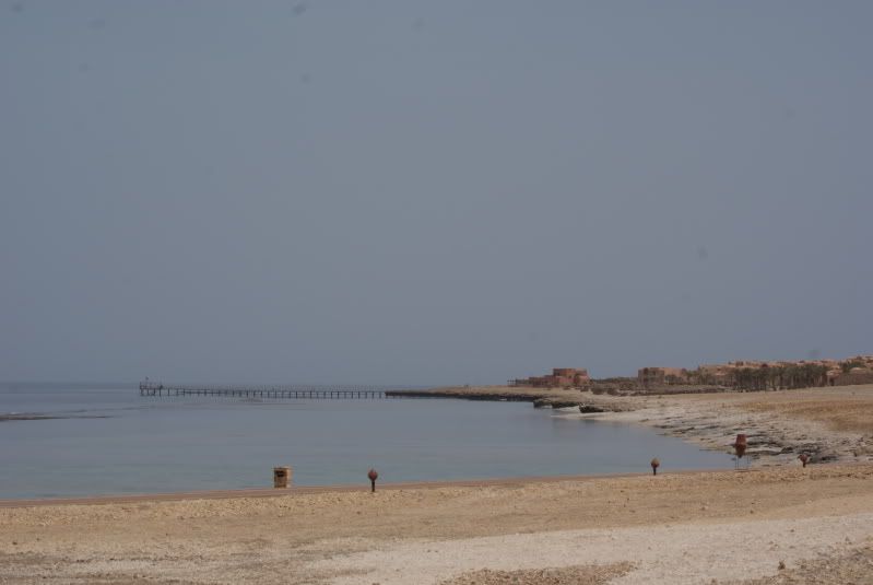 DSC00362.jpg
