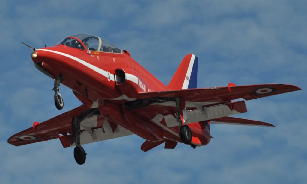redred11.jpg