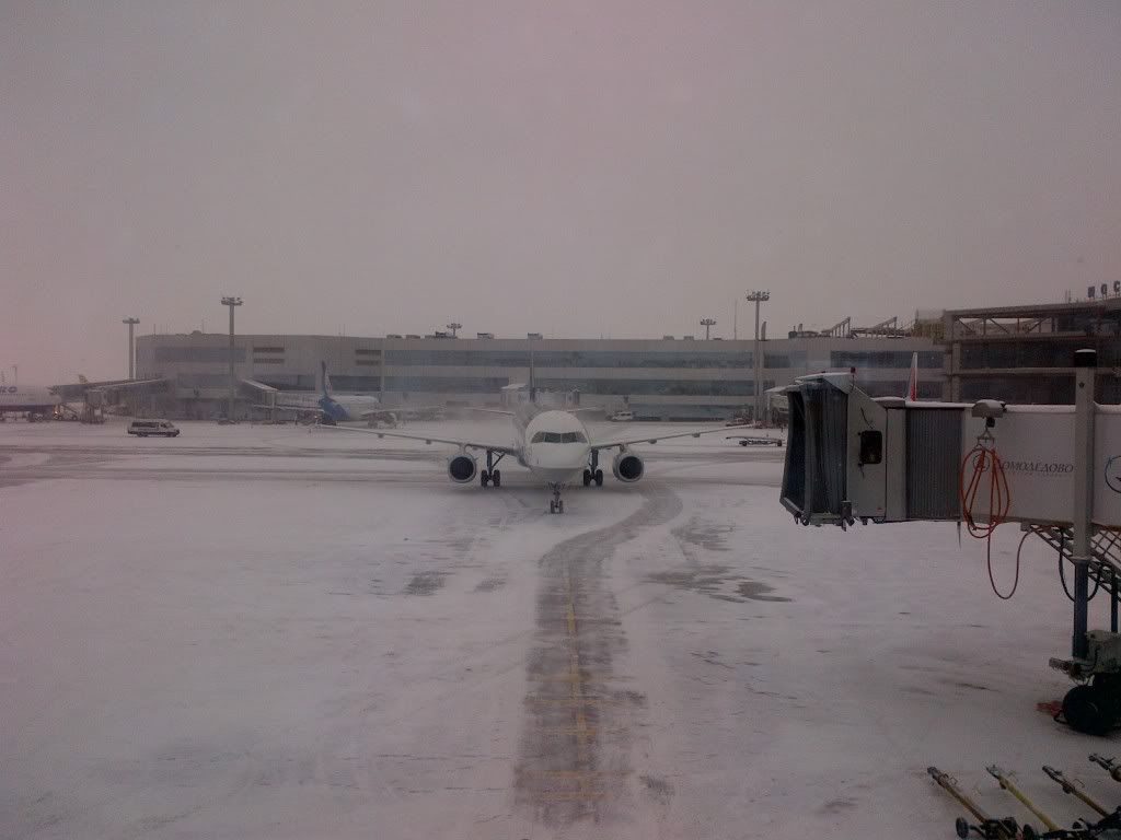 IMG-20120216-00113.jpg
