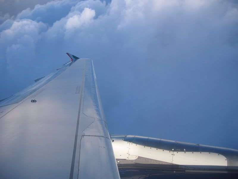 fin011.jpg