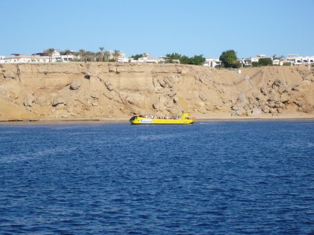 P1000107.jpg