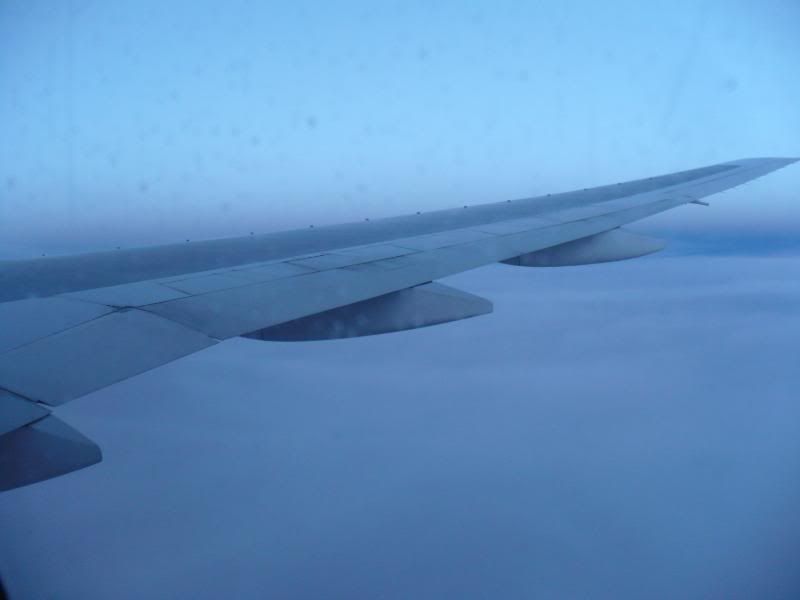 P1020165.jpg