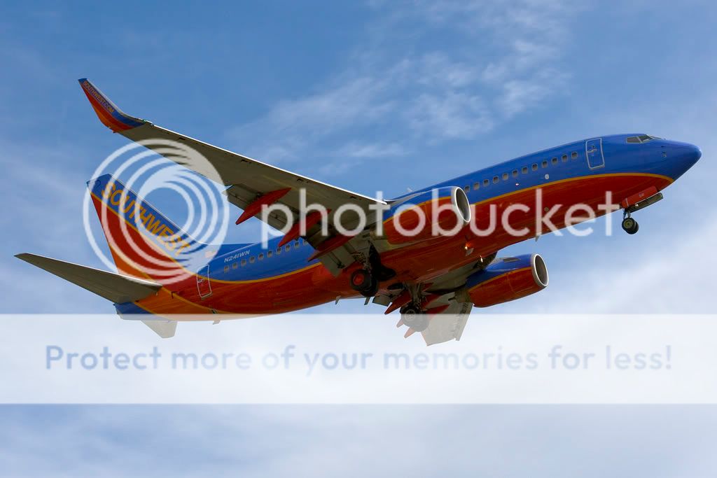 IMG_8014-N241WN.jpg