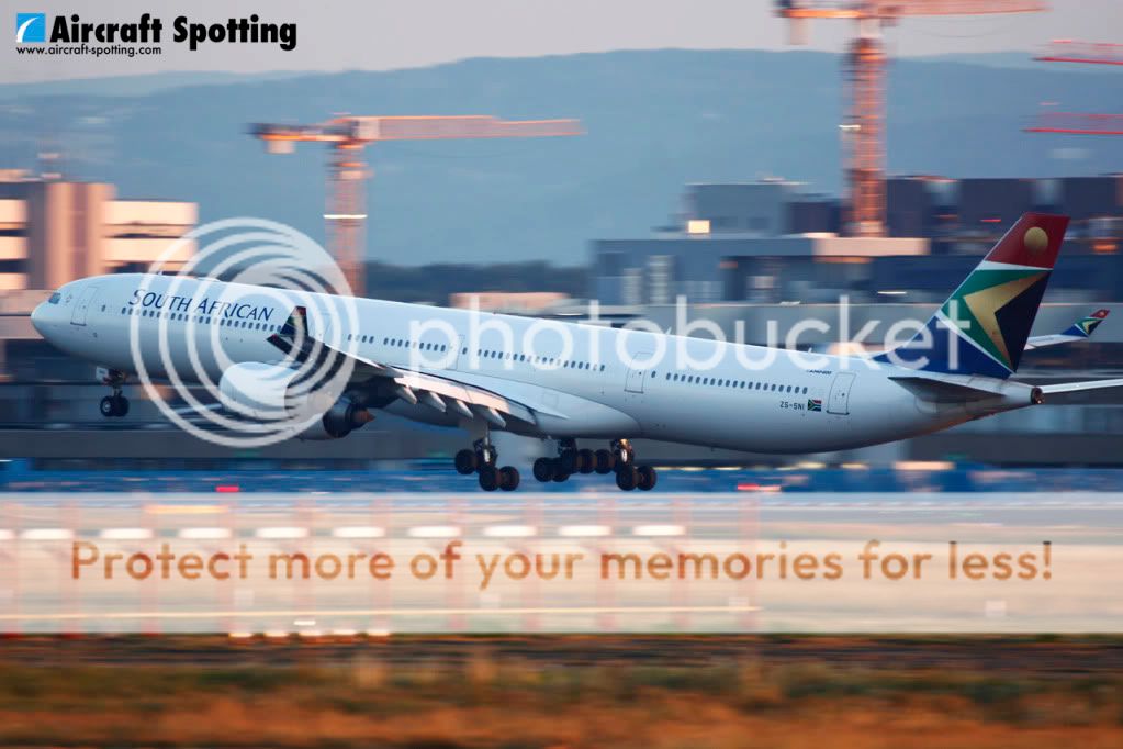 _MG_2035.jpg