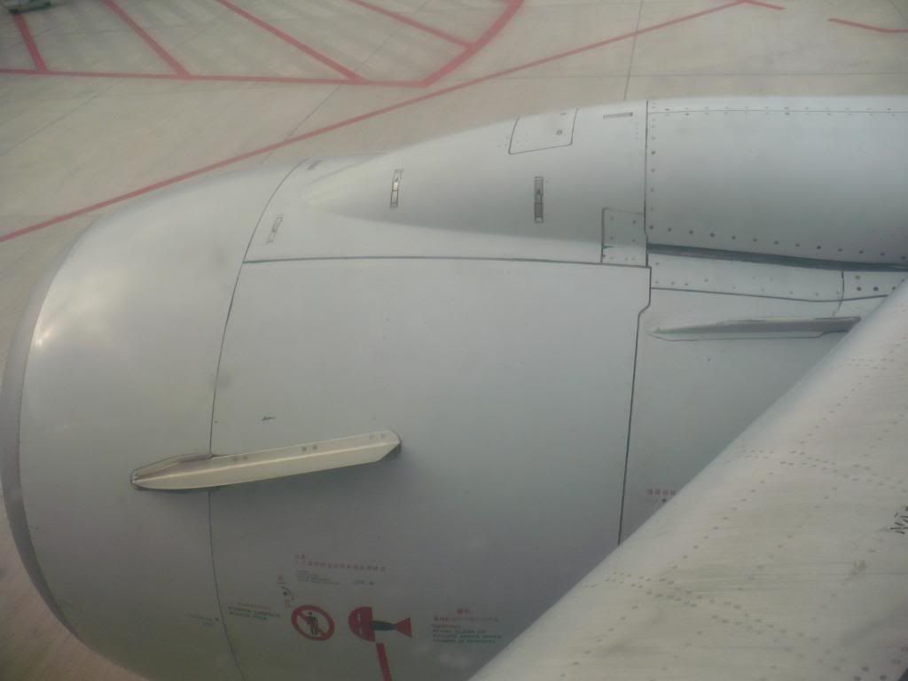 P1010383.jpg