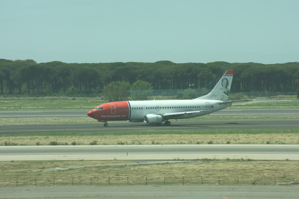IMG_3137.jpg