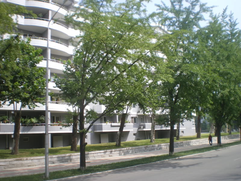 IMGP6308.jpg