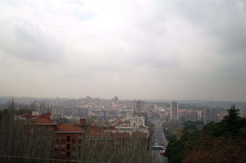 P2200042.jpg