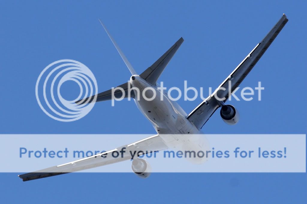 767.jpg