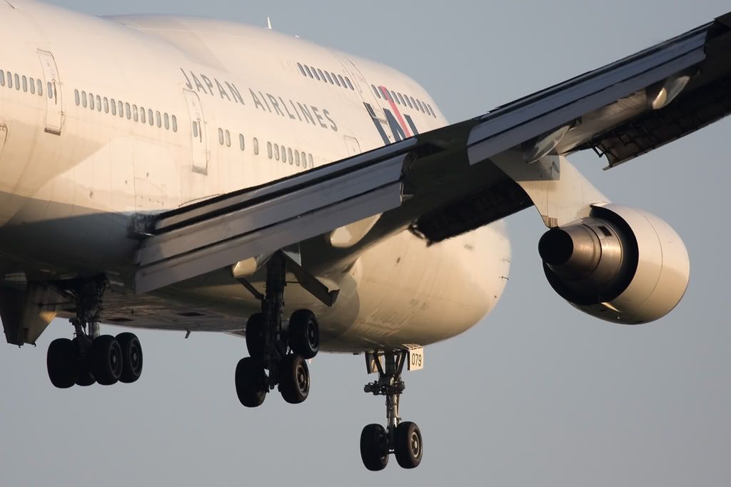 jal2.jpg