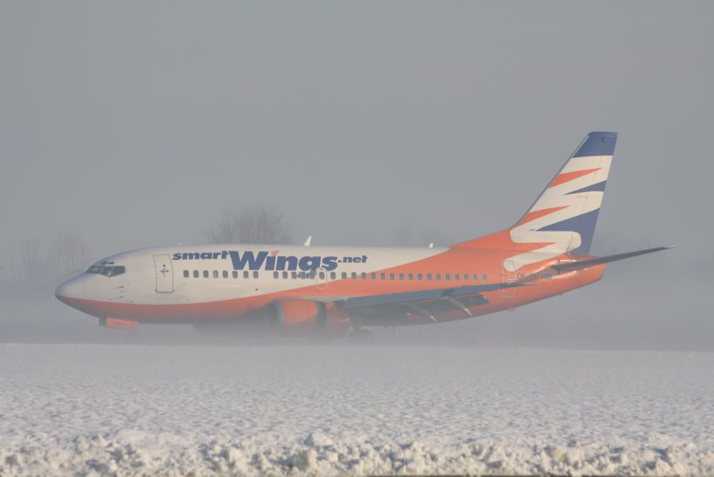 wing-2.jpg