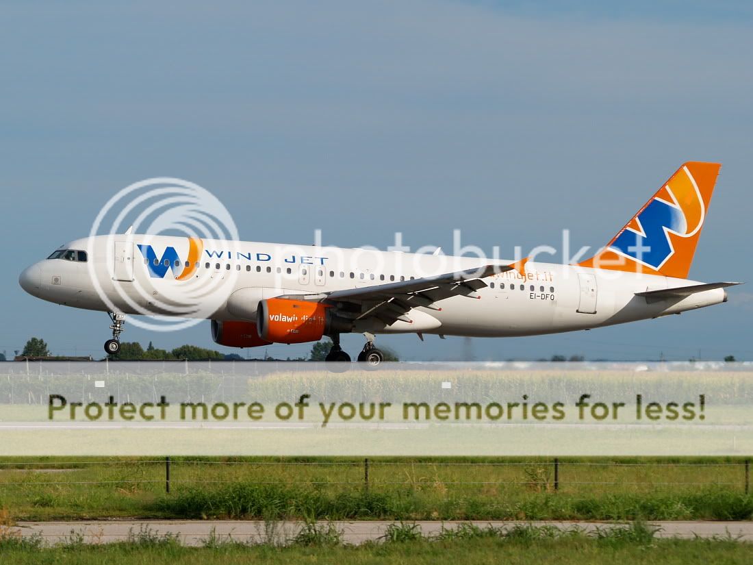 AM169487.jpg