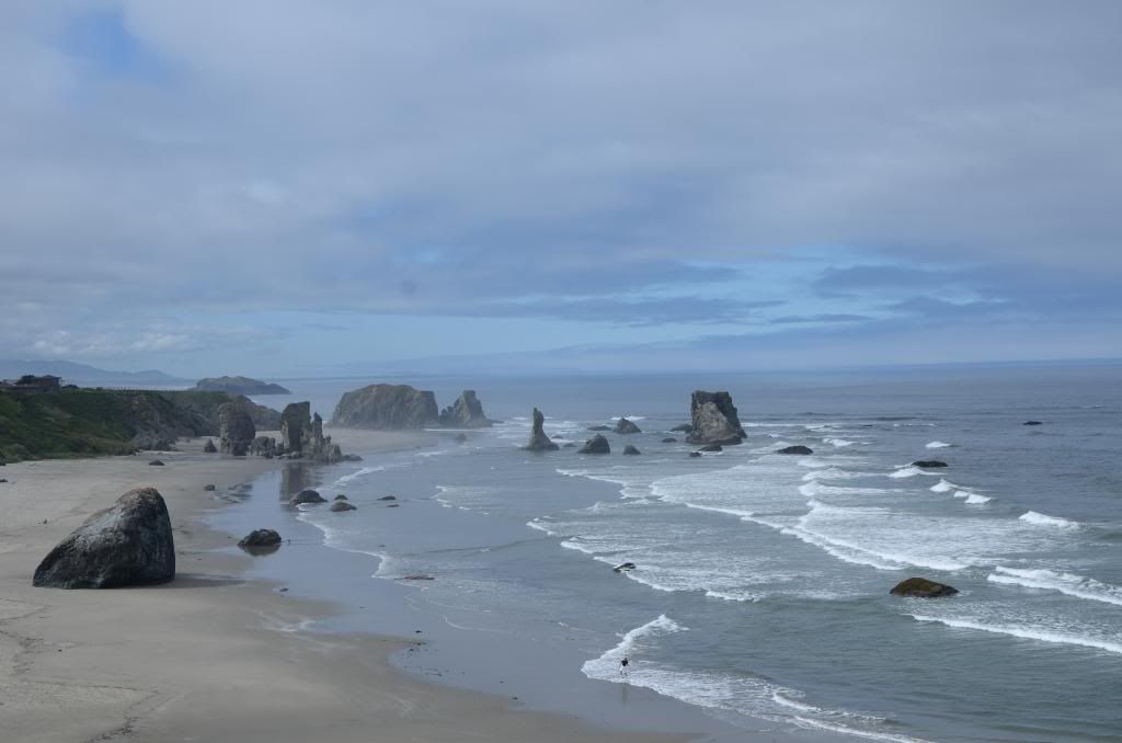 DSC_1568.jpg