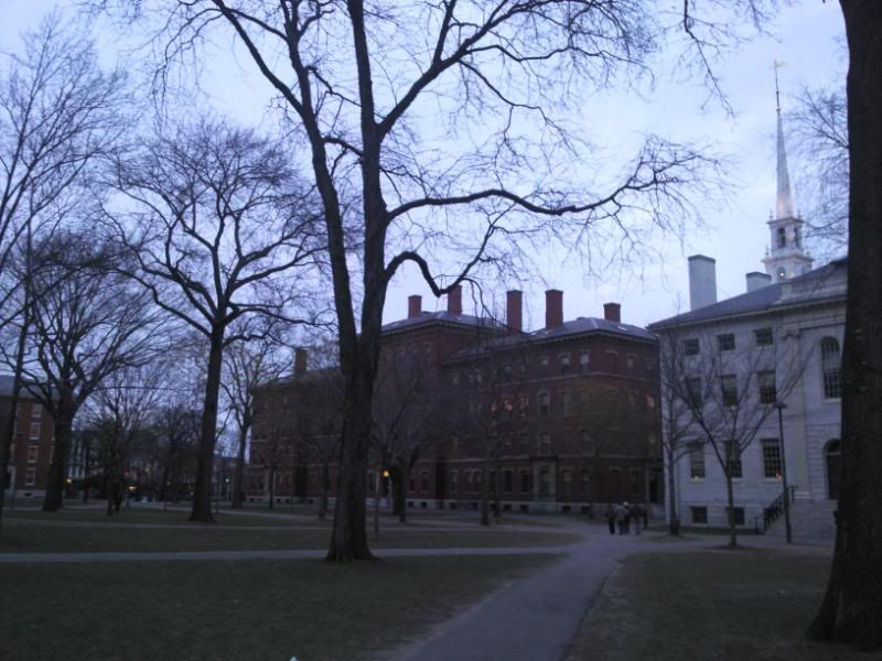 19122009085.jpg