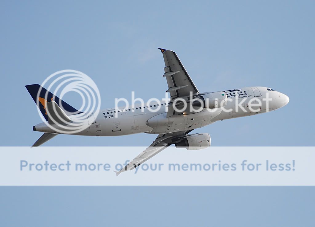 ei-dse.jpg
