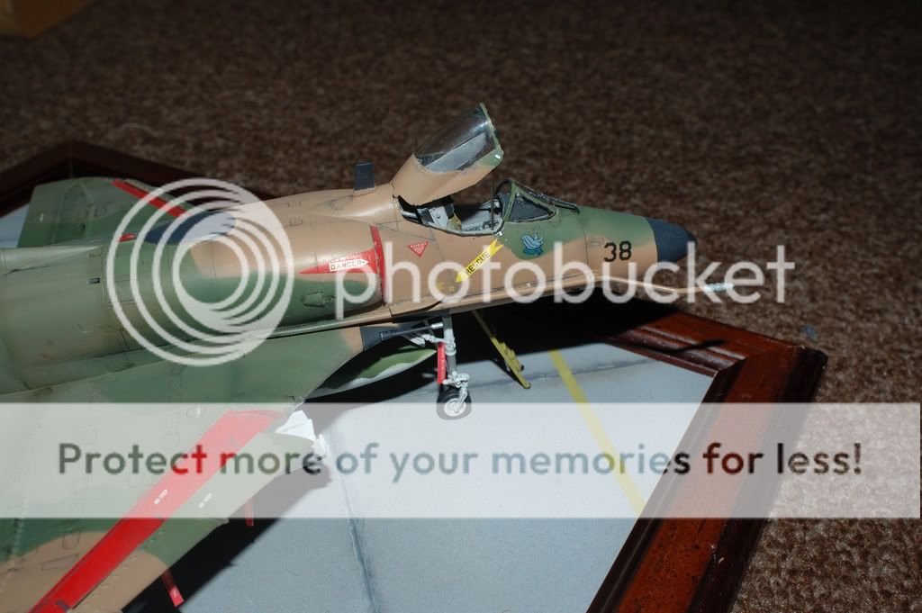 DSC_4331.jpg