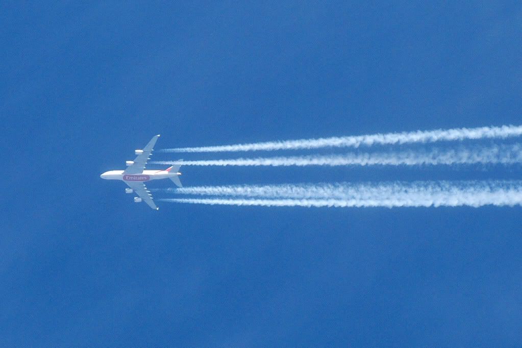 FRA06032011_0395.jpg