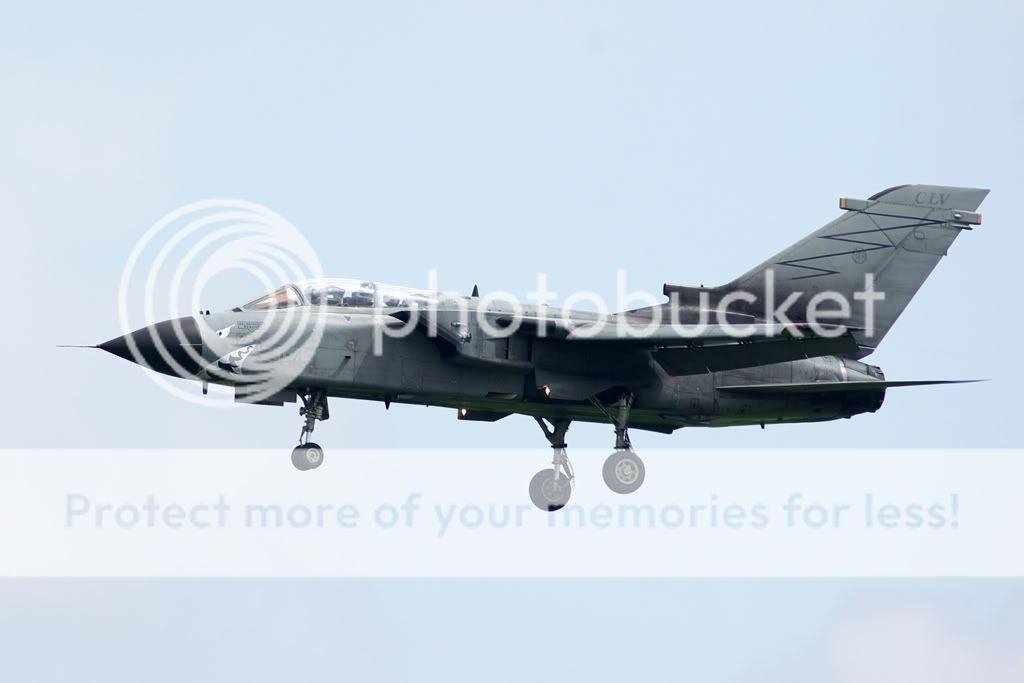 ttP7635.jpg