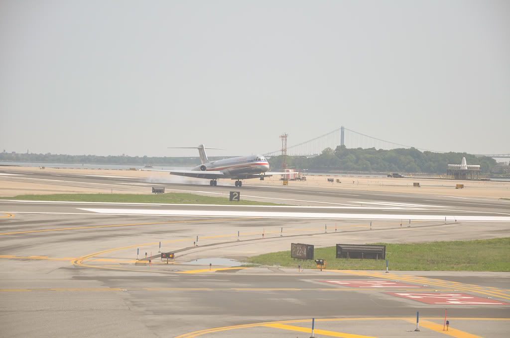 DSC_0081.jpg