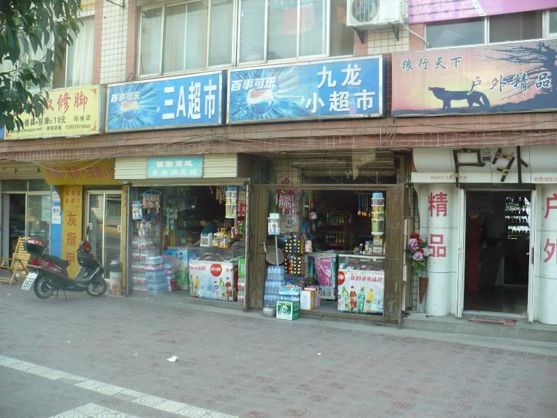 P1010570.jpg
