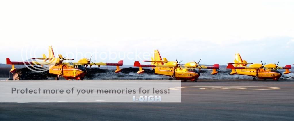 Canadairs.jpg