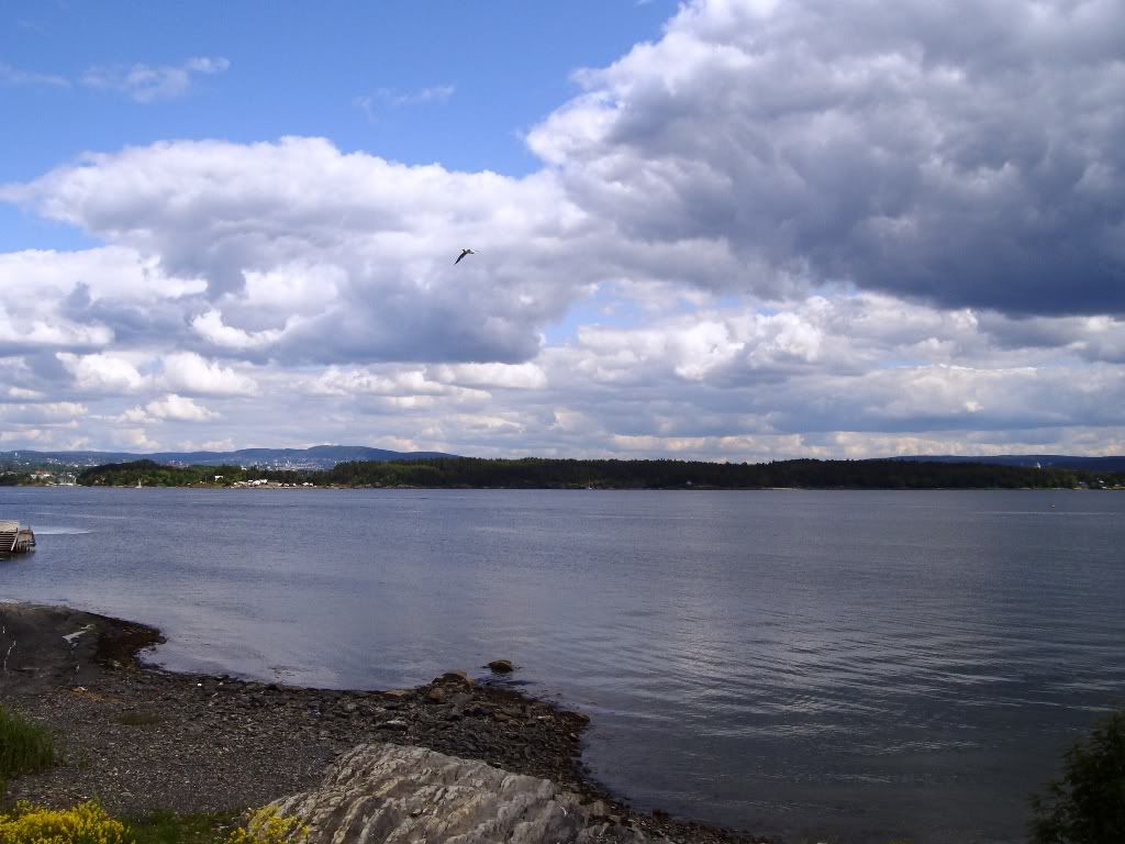 IMGP3172.jpg