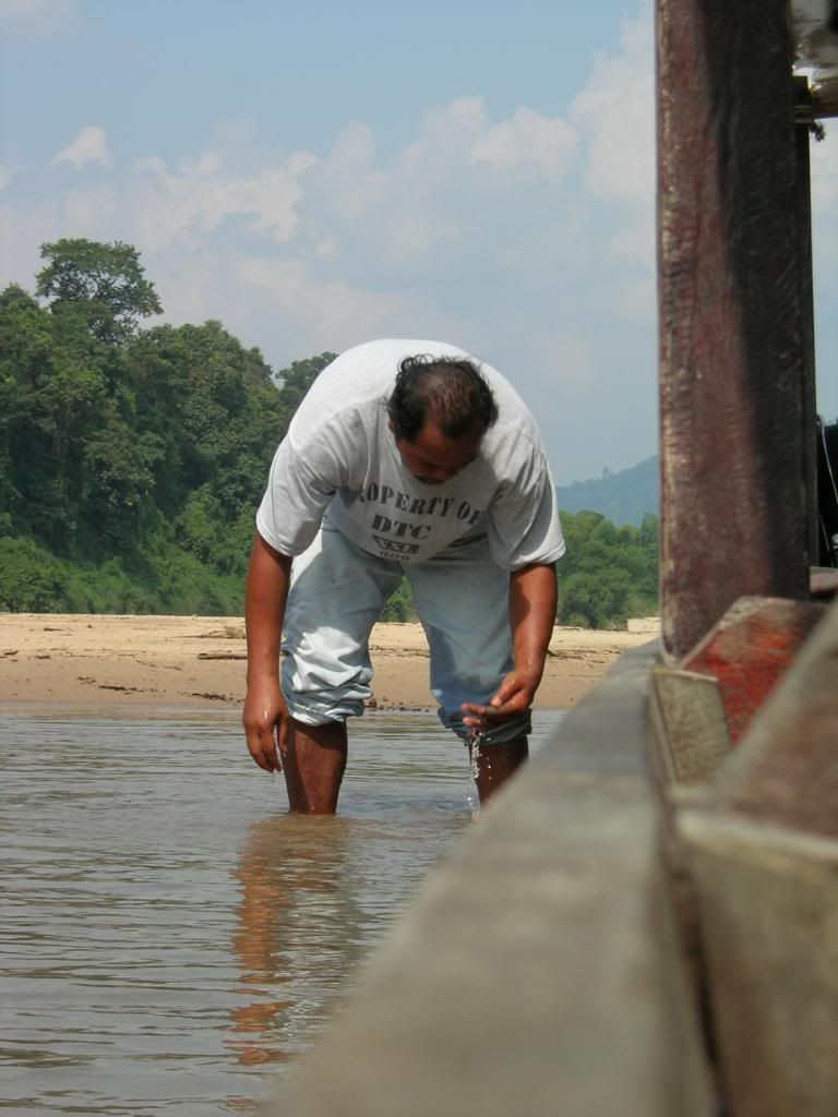 IMG479.jpg