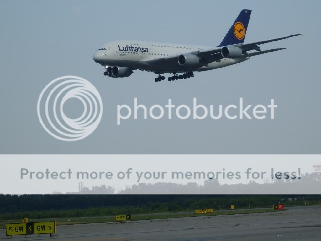 S8300015-1.jpg