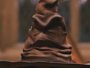 sorting-hat-30.jpg