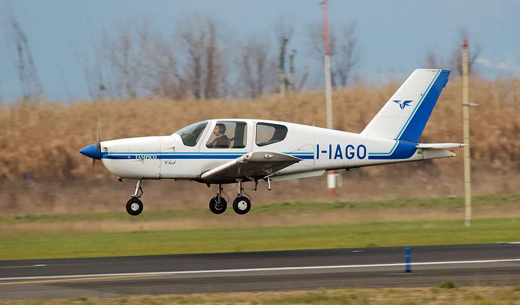 iago1.jpg