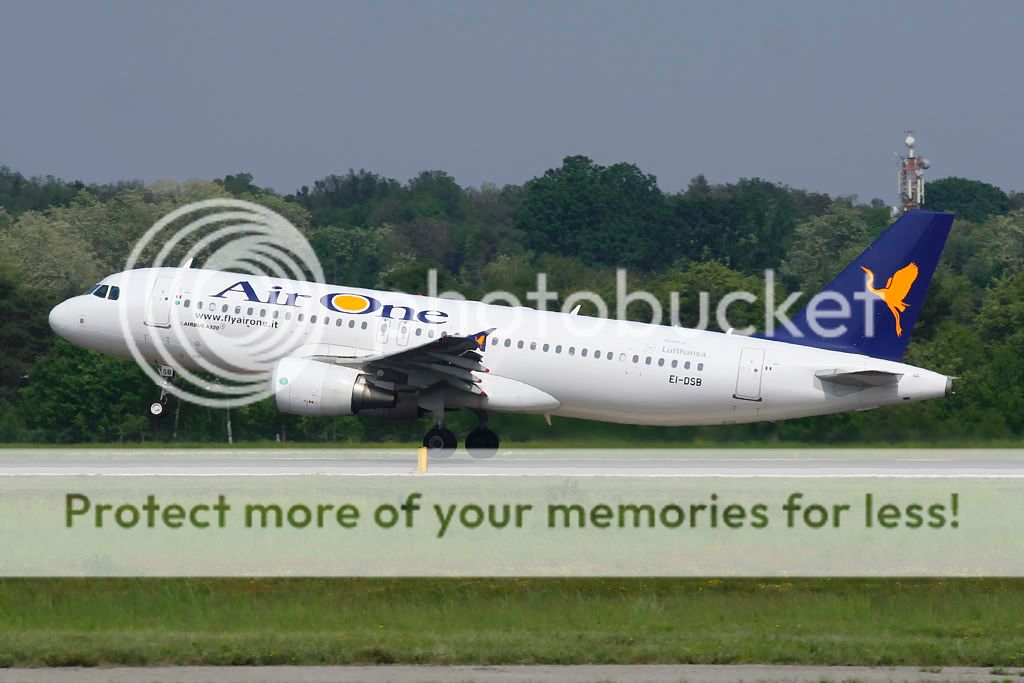 Airone.jpg