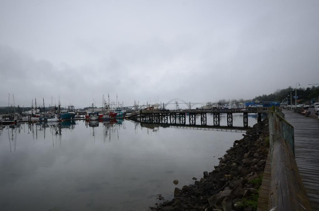DSC_1623.jpg